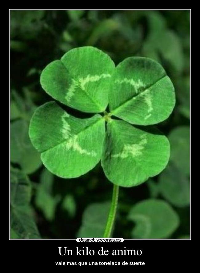 carteles jeje desmotivaciones