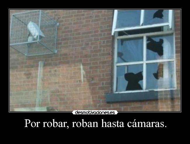 Por robar, roban hasta cámaras. -