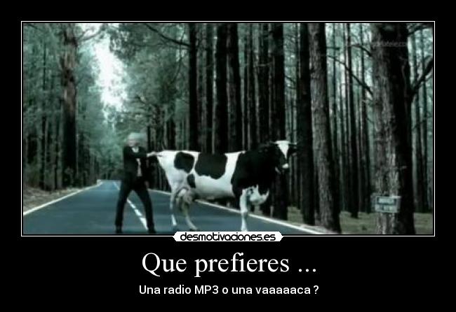 Que prefieres ... - Una radio MP3 o una vaaaaaca ?