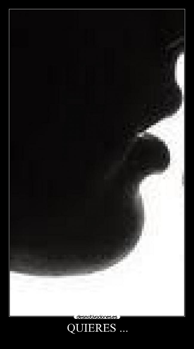 QUIERES ... -