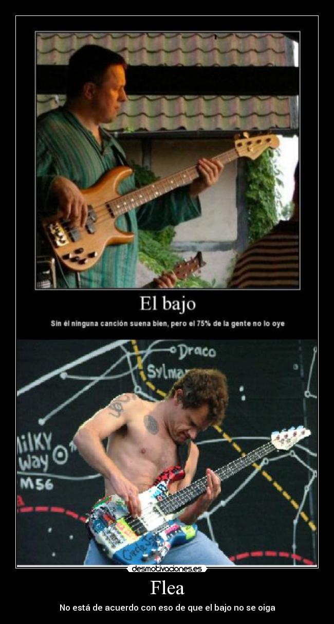 Flea -