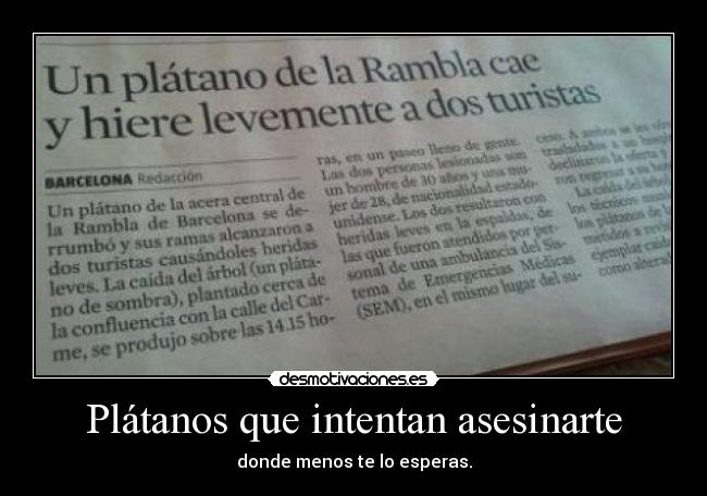 Plátanos que intentan asesinarte - donde menos te lo esperas.