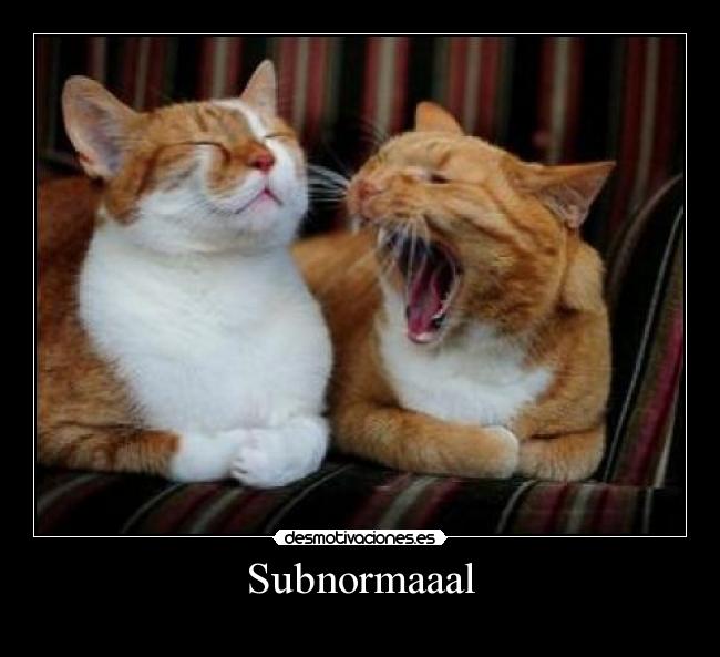 Subnormaaal - 