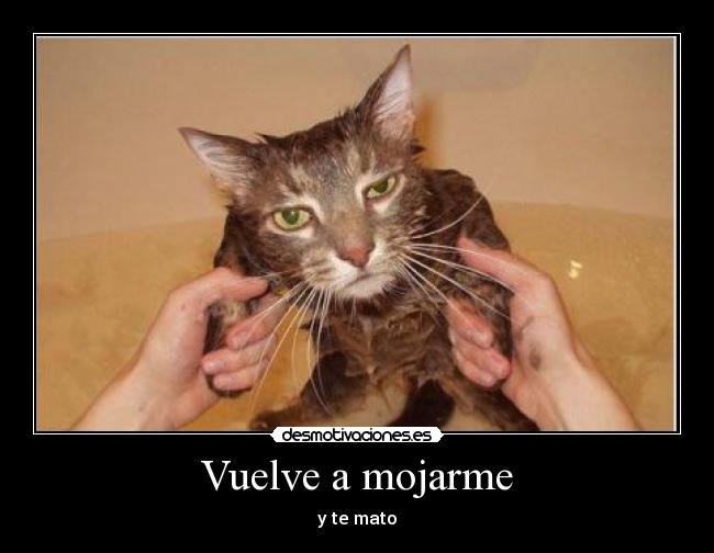 Vuelve a mojarme -