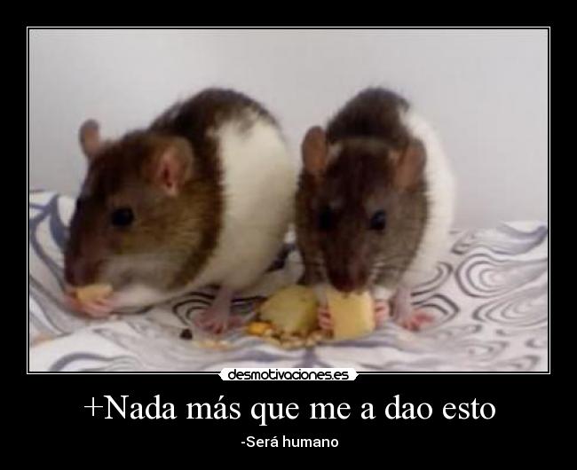 carteles -sera humano desmotivaciones