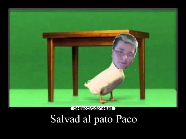 Salvad al pato Paco -