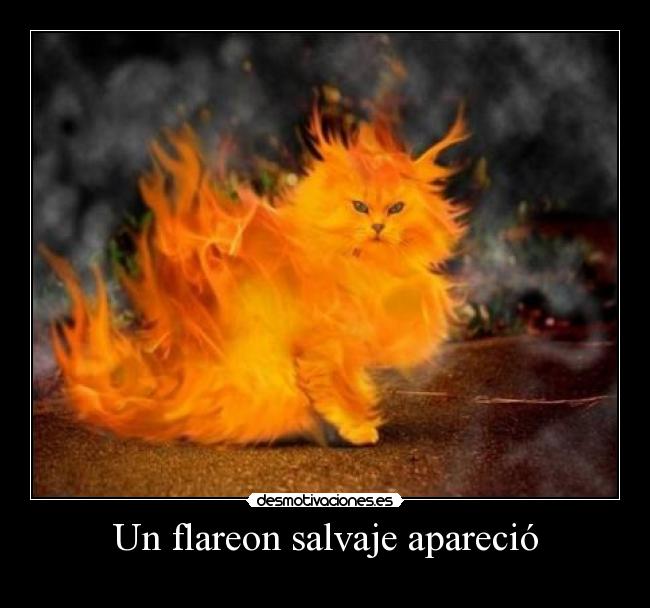 Un flareon salvaje apareció - 