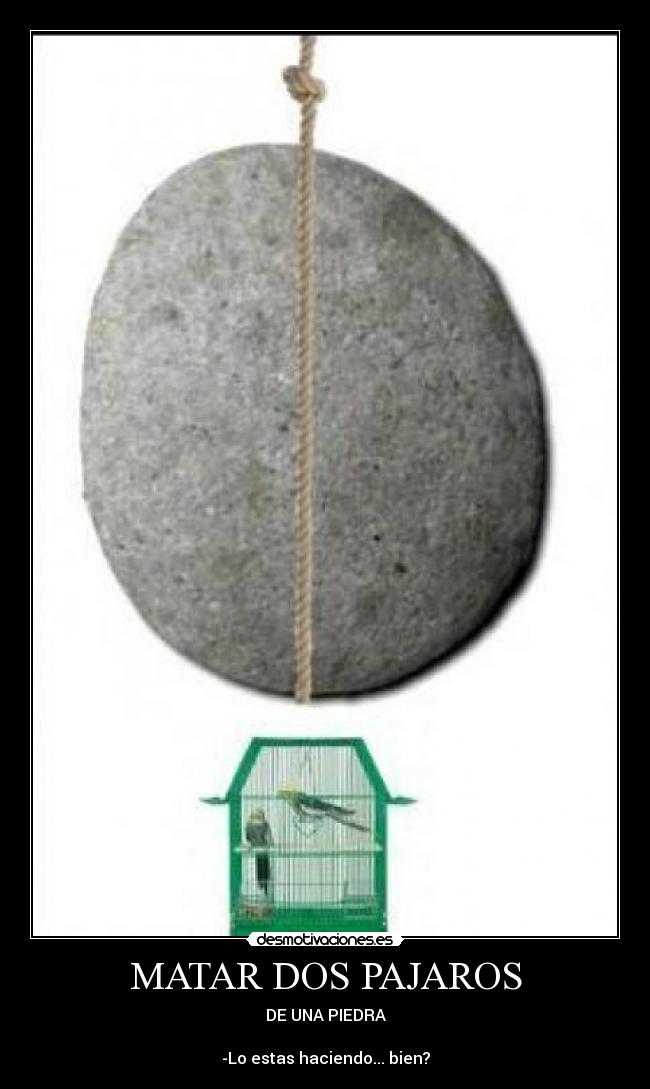 MATAR DOS PAJAROS - 