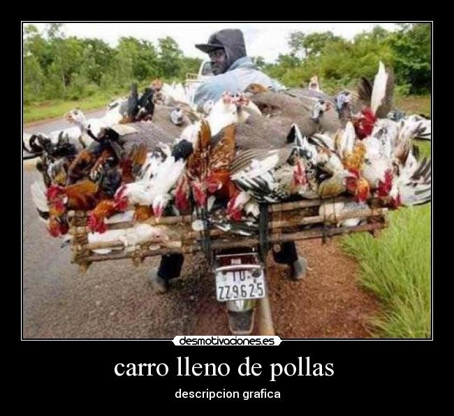 carro lleno de pollas - descripcion grafica