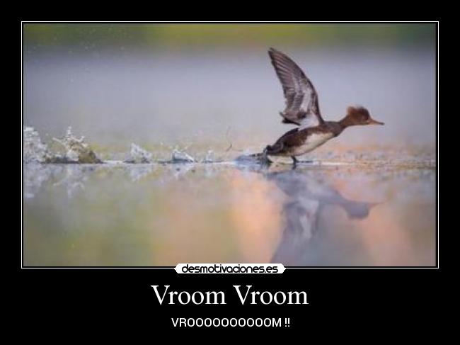 carteles despegue desmotivaciones