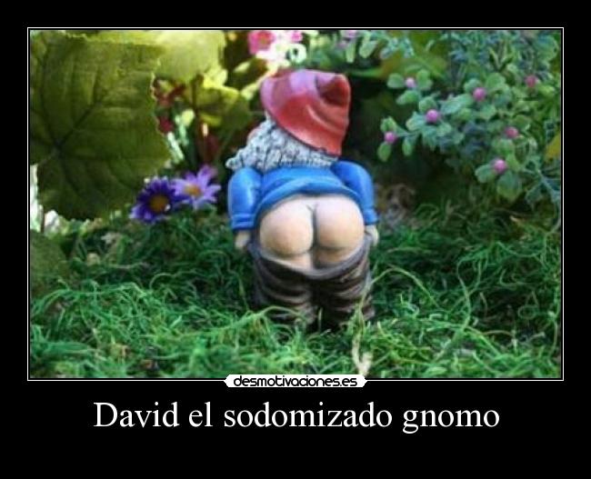 David el sodomizado gnomo - 