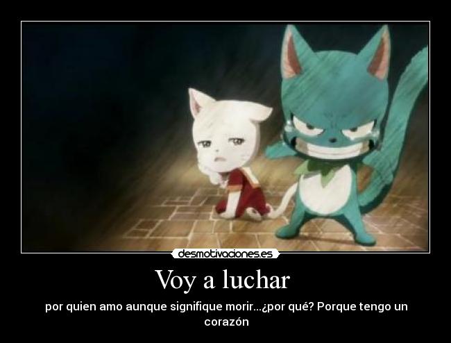 Voy a luchar  - 