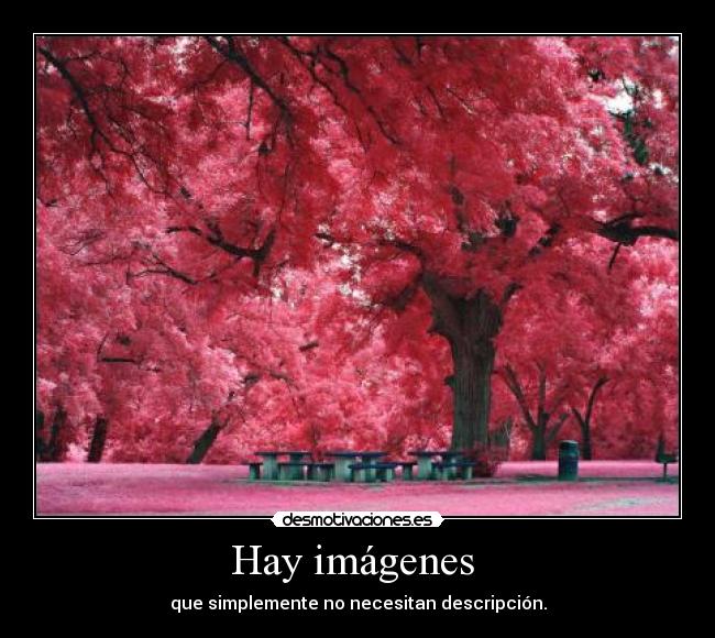 Hay imágenes  - 