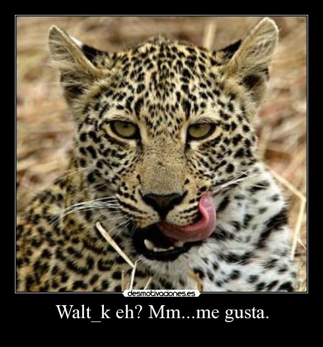 Walt_k eh? Mm...me gusta. - 