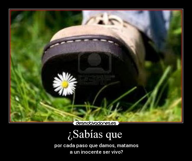 ¿Sabías que  - por cada paso que damos, matamos
a un inocente ser vivo?