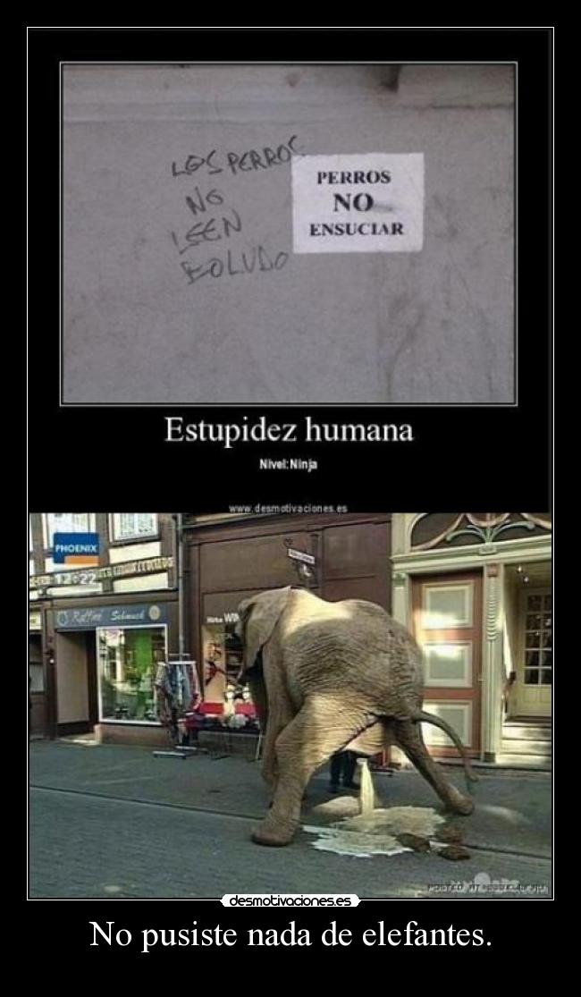 No pusiste nada de elefantes. - 