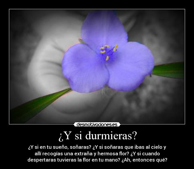 ¿Y si durmieras? - ¿Y si en tu sueño, soñaras? ¿Y si soñaras que ibas al cielo y
allí recogías una extraña y hermosa flor? ¿Y si cuando
despertaras tuvieras la flor en tu mano? ¿Ah, entonces qué?