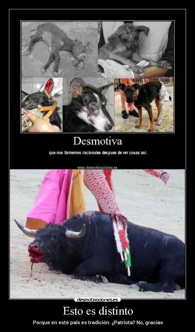 carteles cartel perros toros patriota tradicion pais espana desmotivaciones