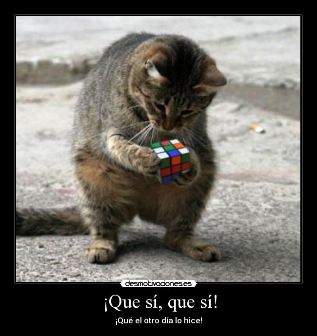 ¡Que sí, que sí! - 