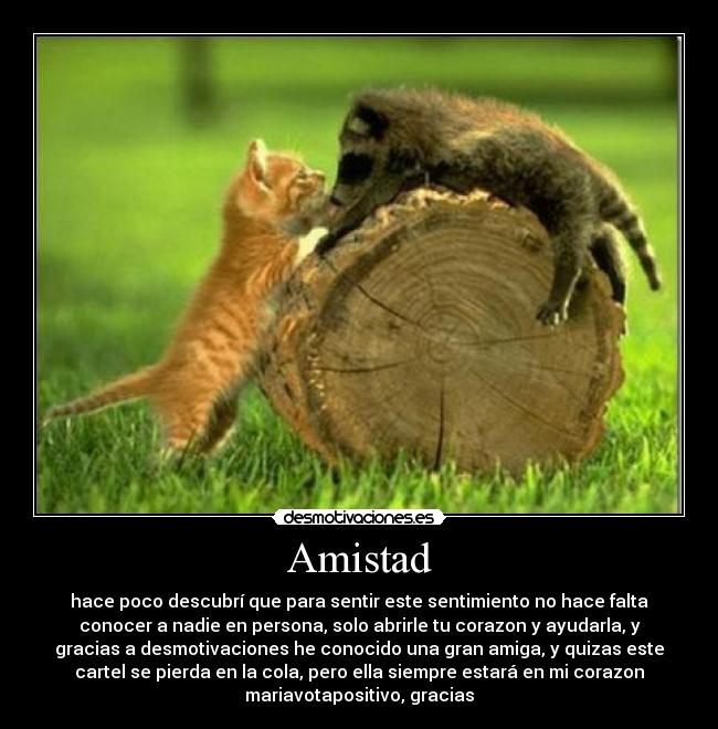 Amistad -