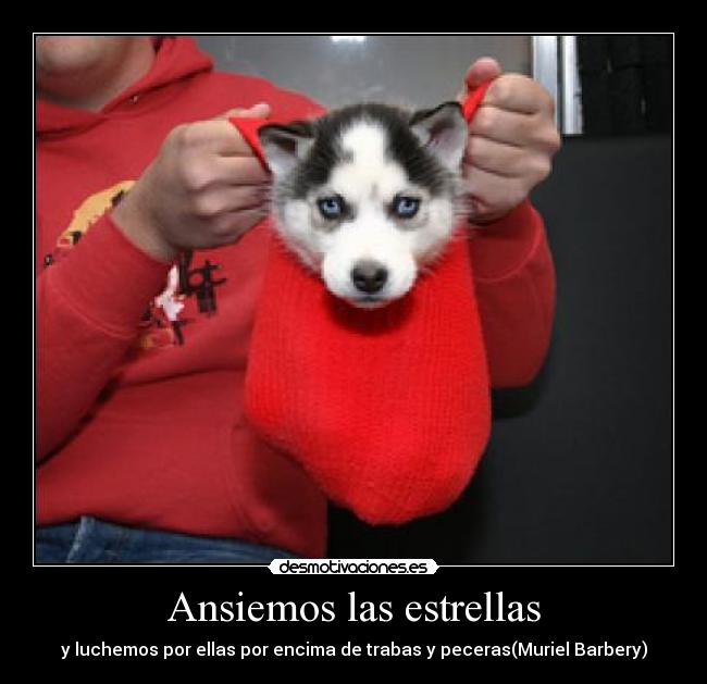 Ansiemos las estrellas - y luchemos por ellas por encima de trabas y peceras(Muriel Barbery)