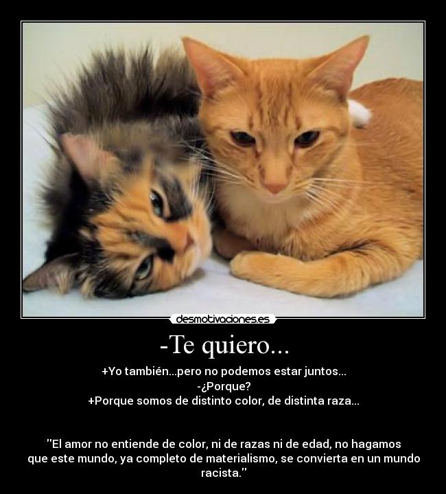 -Te quiero... - +Yo también...pero no podemos estar juntos...
-¿Porque?
+Porque somos de distinto color, de distinta raza...
El amor no entiende de color, ni de razas ni de edad, no hagamos
que este mundo, ya completo de materialismo, se convierta en un mundo
racista.