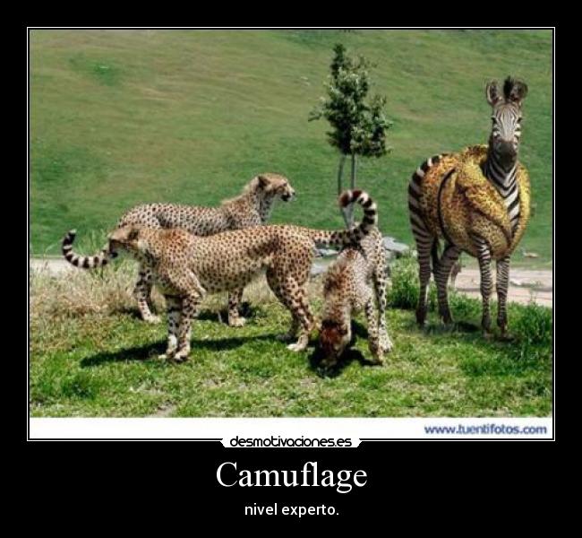Camuflage -