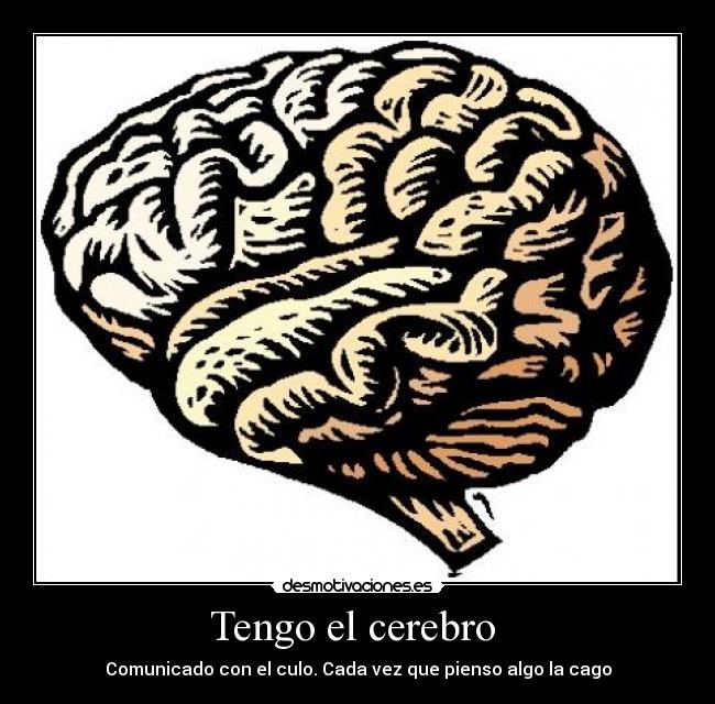 Tengo el cerebro -