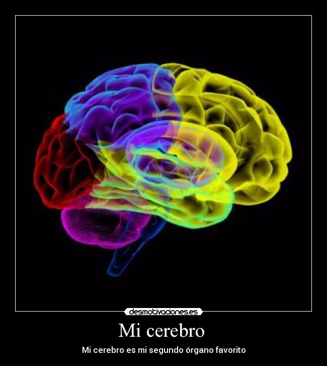 Mi cerebro -