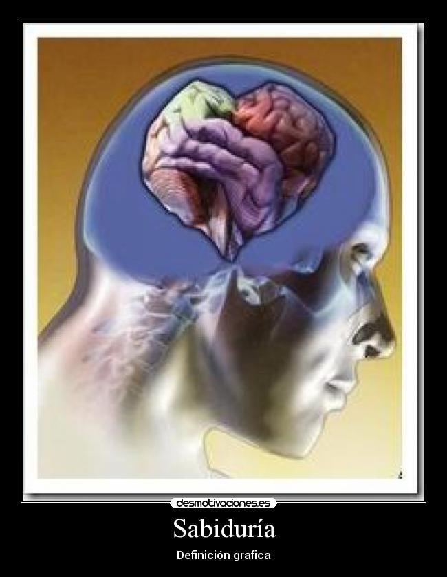 Sabiduría - Definición grafica