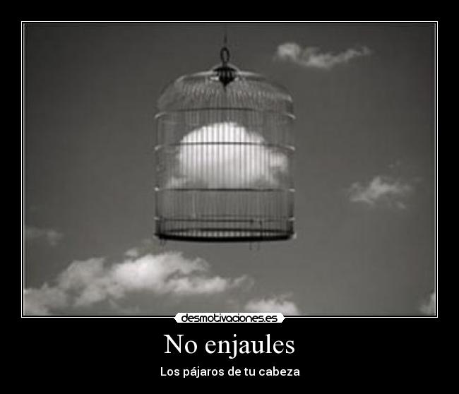 No enjaules - Los pájaros de tu cabeza