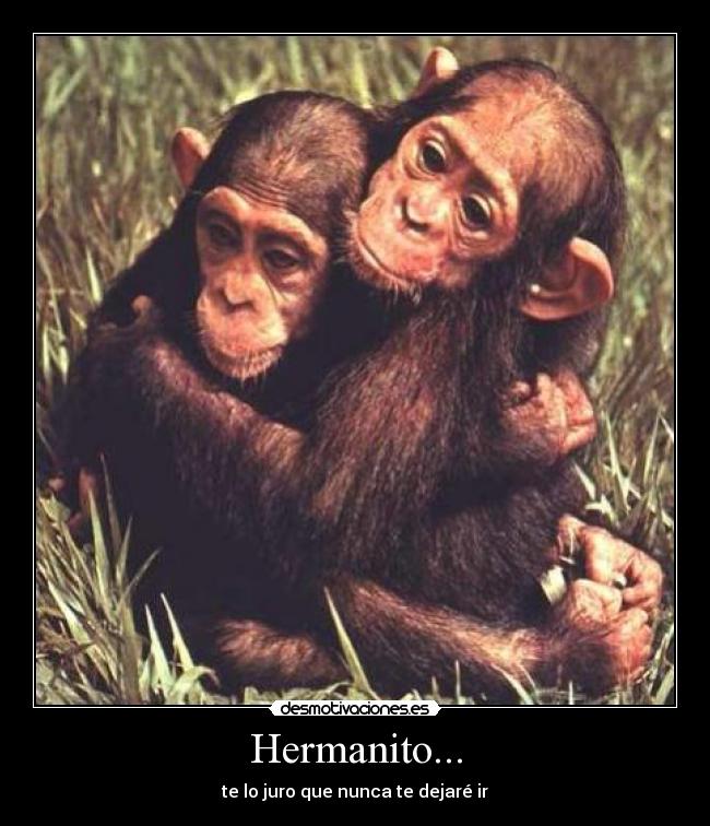 Hermanito... - te lo juro que nunca te dejaré ir