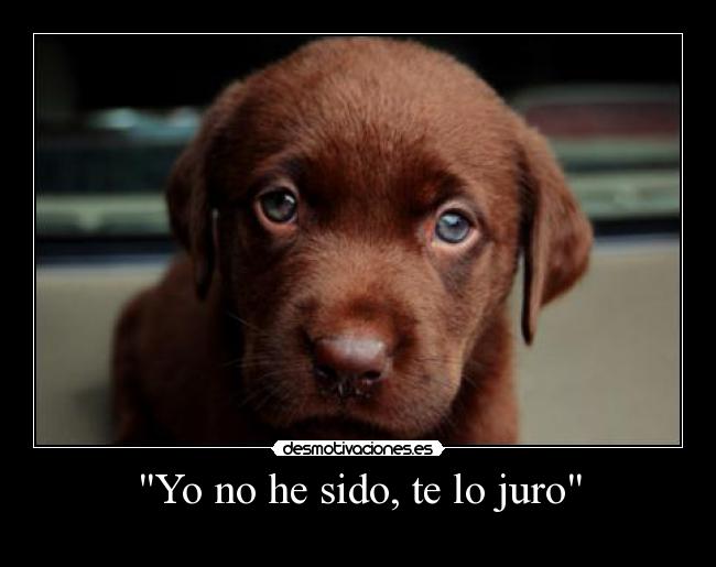 Yo no he sido, te lo juro -