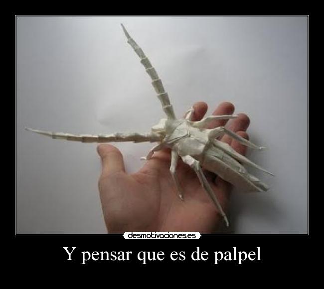 Y pensar que es de palpel - 