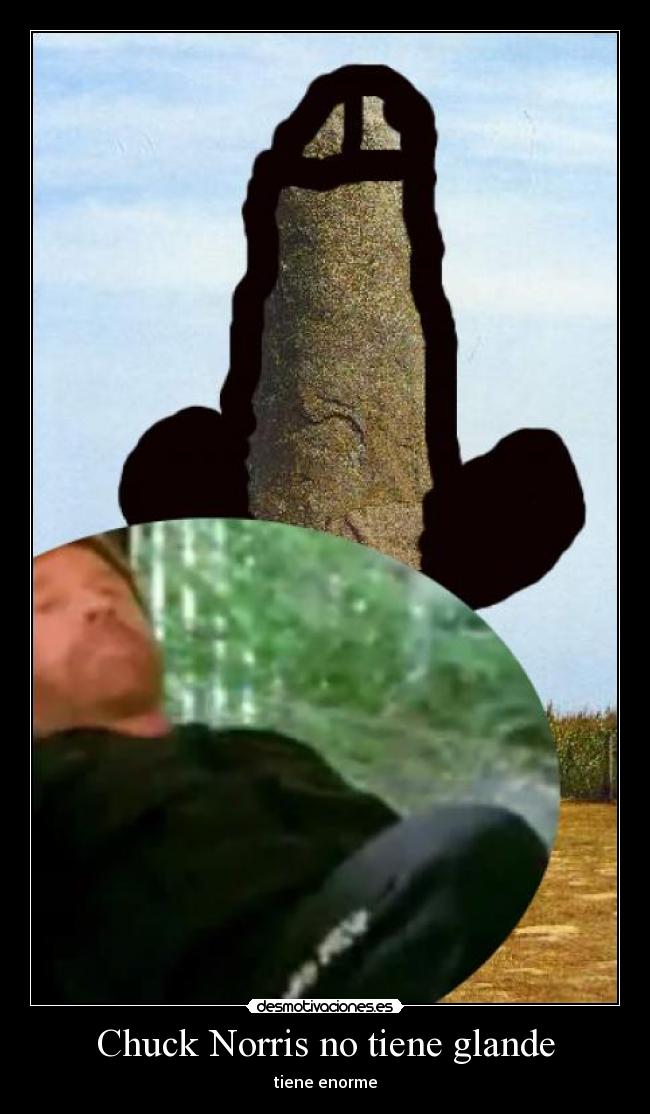 Chuck Norris no tiene glande -