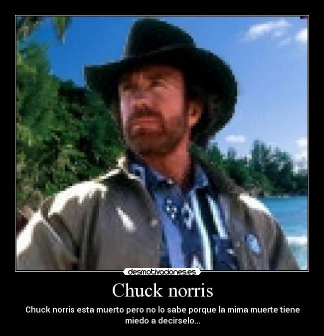 Chuck norris -