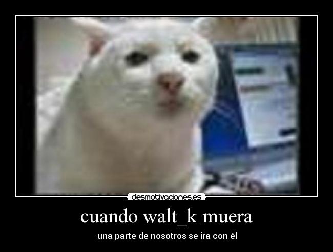 carteles walt_k javielmessi desmotivaciones
