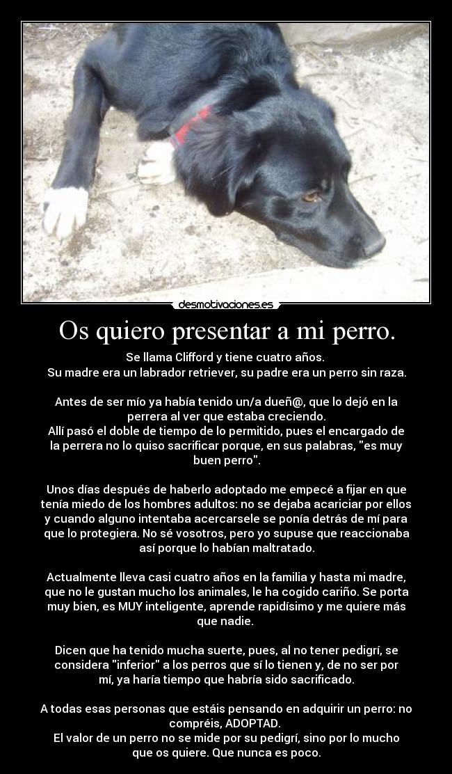 Os quiero presentar a mi perro. -