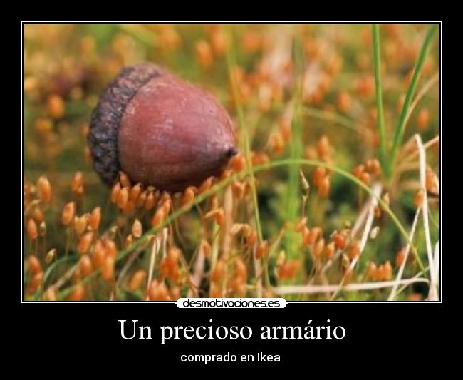 Un precioso armário - comprado en Ikea