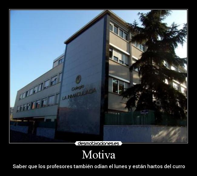 Motiva - 