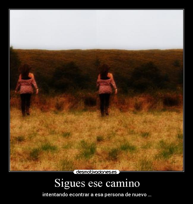Sigues ese camino -