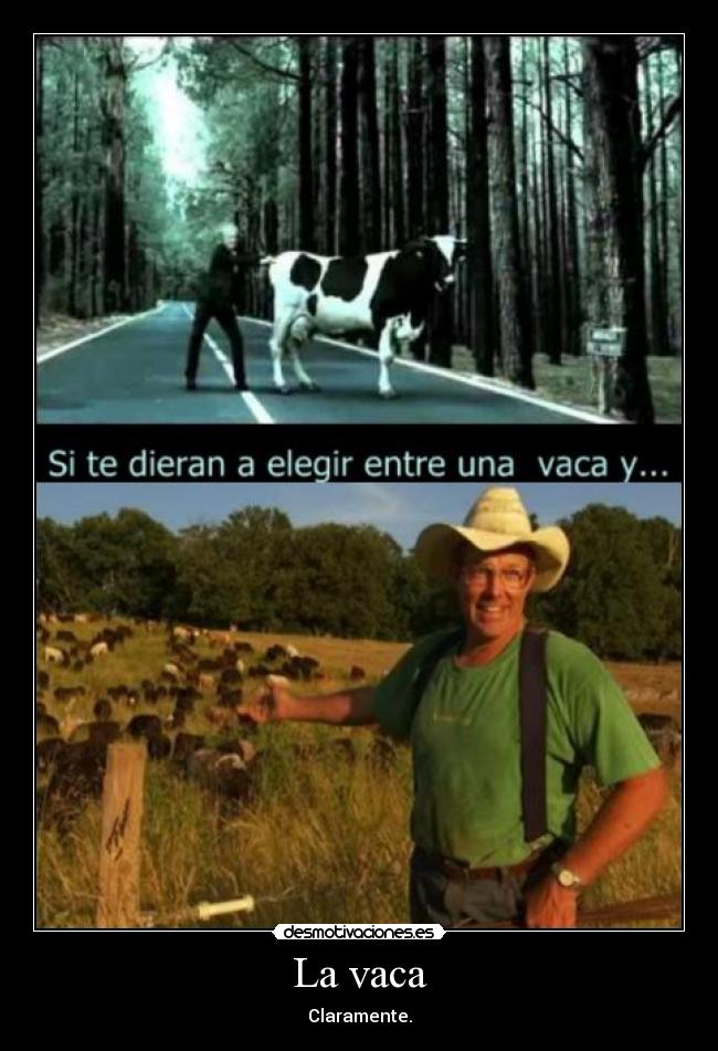 La vaca - Claramente.