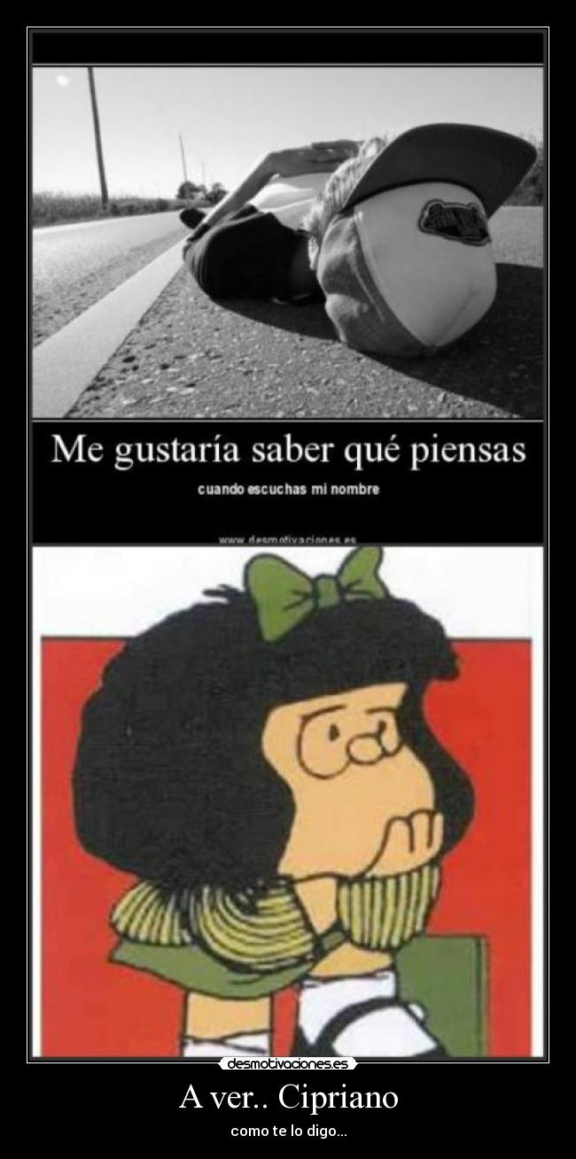 A ver.. Cipriano - como te lo digo...