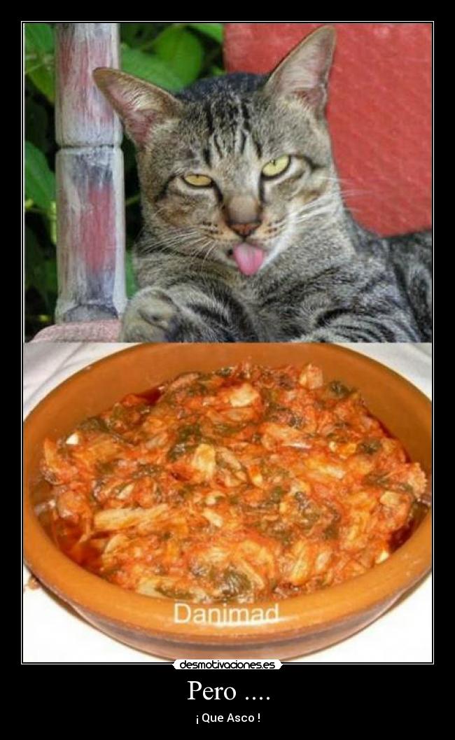 Pero .... - ¡ Que Asco !