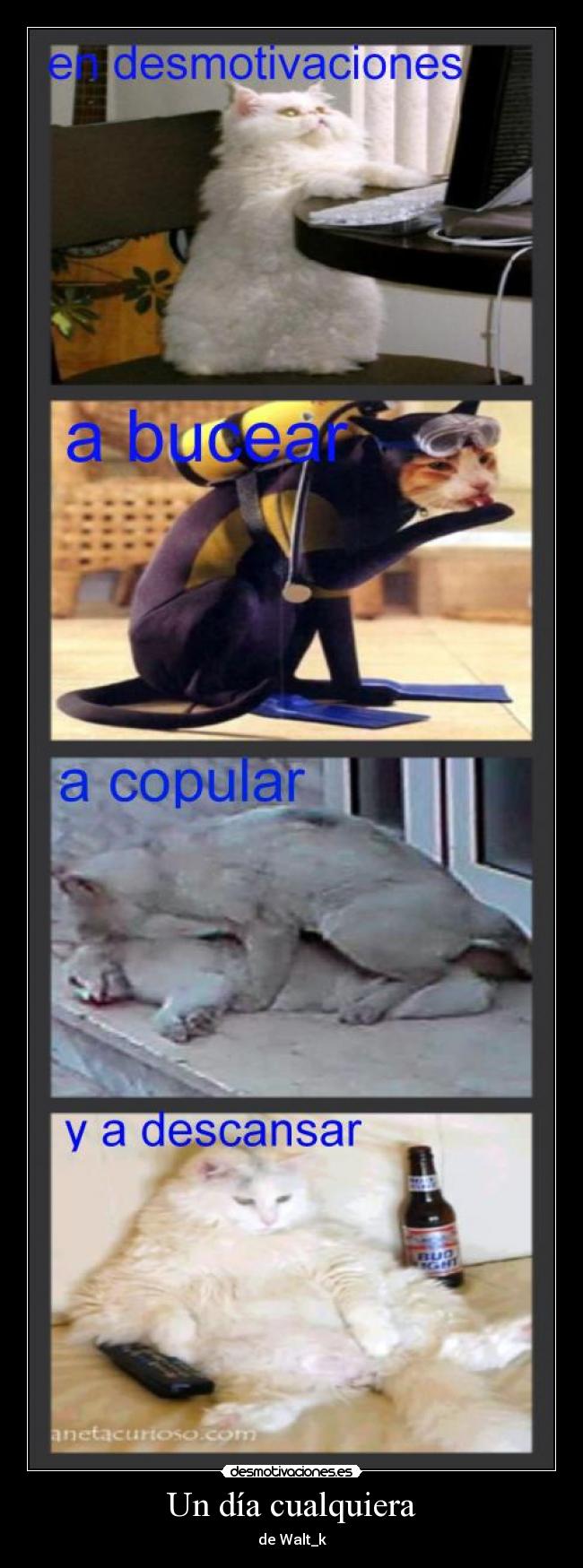 Un día cualquiera -