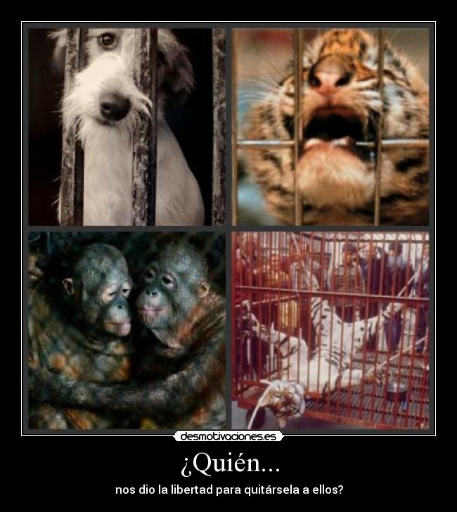 ¿Quién... - nos dio la libertad para quitársela a ellos?