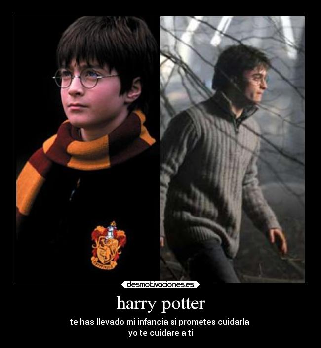 harry potter -