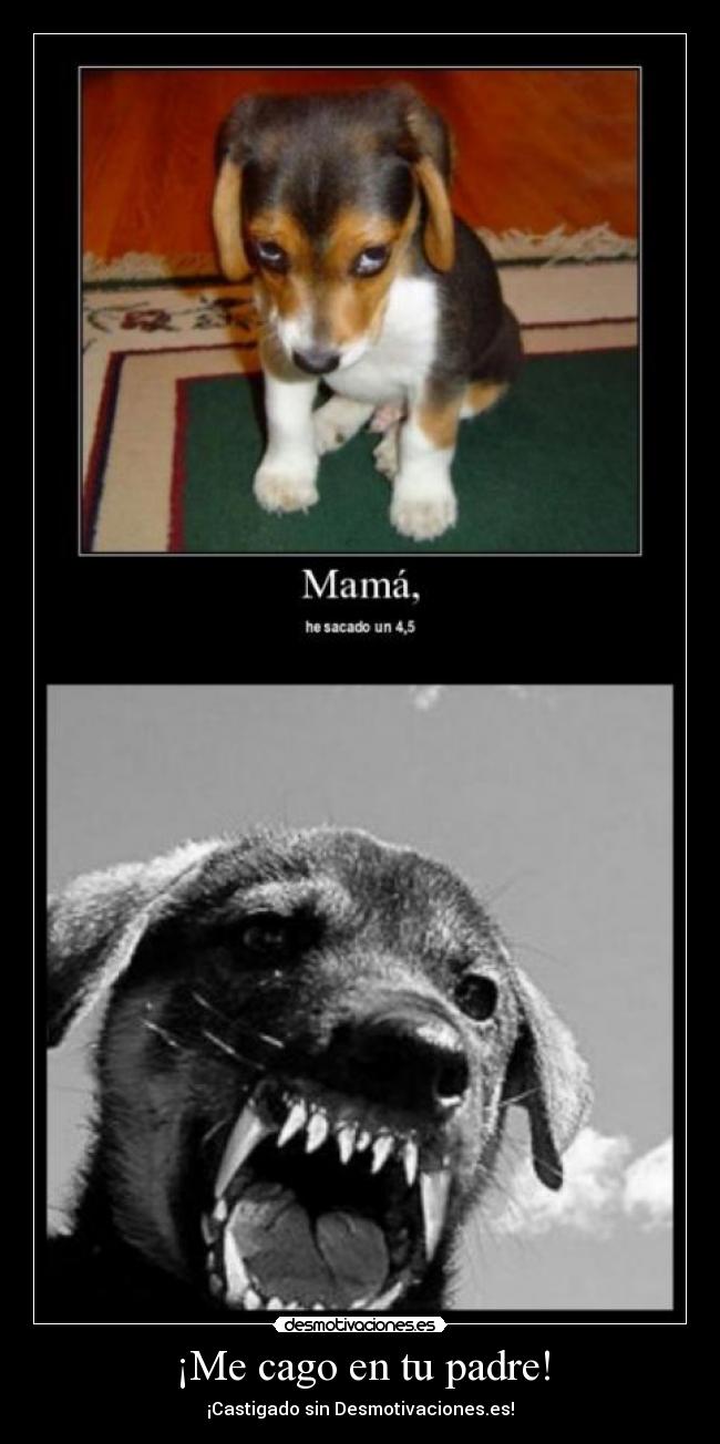 ¡Me cago en tu padre! -