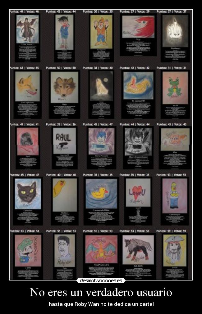carteles eres verdadero usuario desmotivaciones