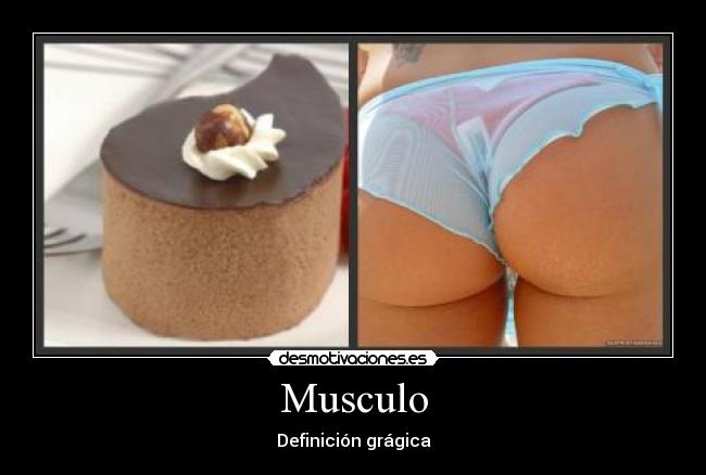 Musculo - Definición grágica